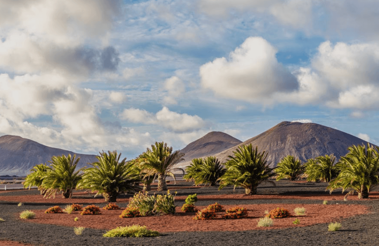 Vue satellite de l'île de Lanzarote